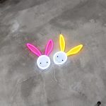 Foto neones conejos juntos